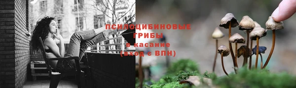 2c-b Алексин