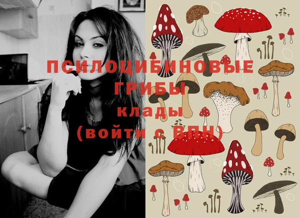 PSILOCYBIN Абаза